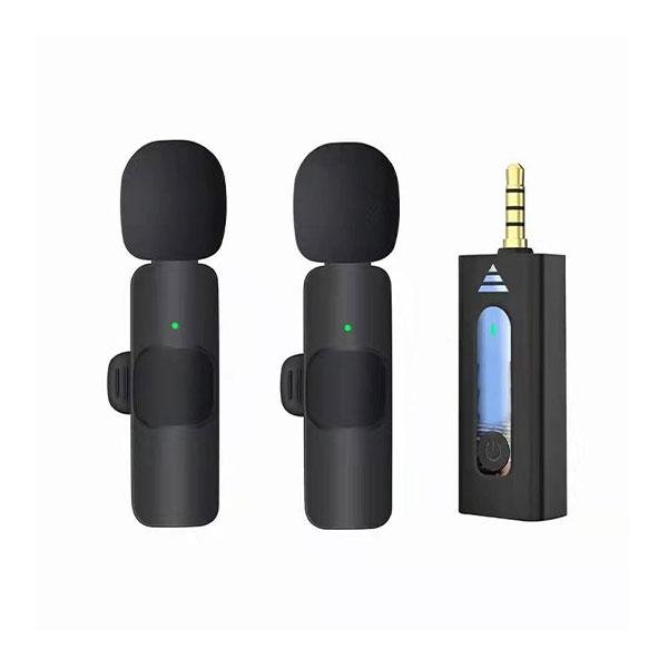 Microphone